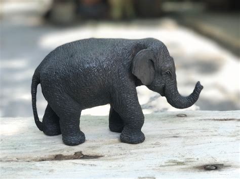 Baby Elephant Weight For Sale Oralia Burden