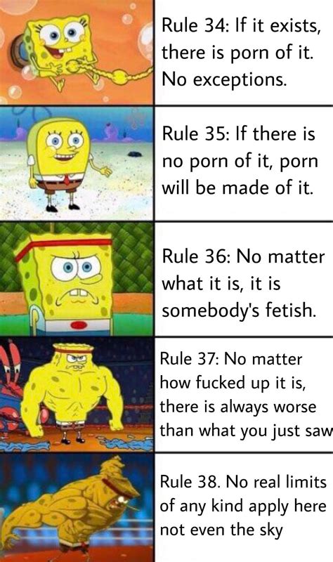 This Is Factual Rule 34 Know Your Meme