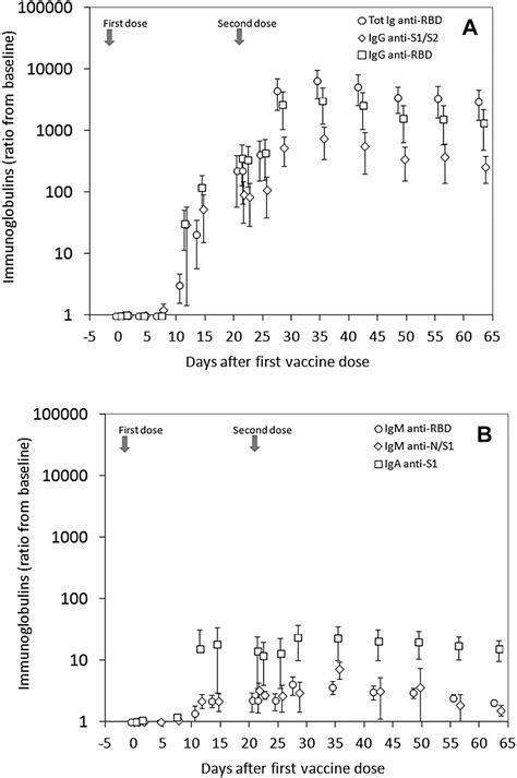 Comprehensive Assessment Of Humoral Response After Pfizer Bnt162b2 Mrna