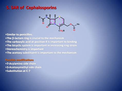 Ppt Cephalosporins Powerpoint Presentation Free Download Id5658436