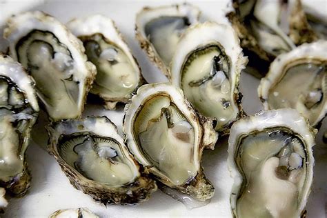 13 Delicious Facts About Oysters You Probably Didnt Know