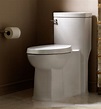 American Standard 5218.110.020 Boulevard Luxury Elongated Toilet Seat ...