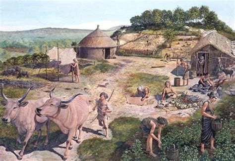 Antrophistoria La Revolución Neolítica ¿el Origen De Nuestra