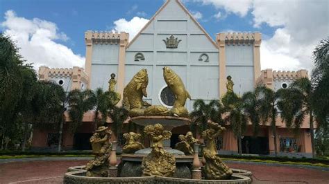 Christ The King Cathedral Tagum City Tripadvisor