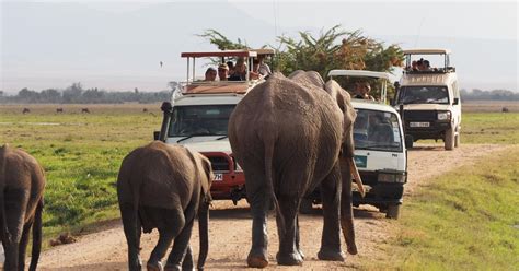 Nairobi 4 Day Amboseli Tsavo West And East Guided Safari Getyourguide