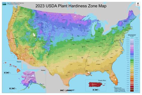 Refreshed Usda Unveils Its New Plant Hardiness Zone Map Growing Produce