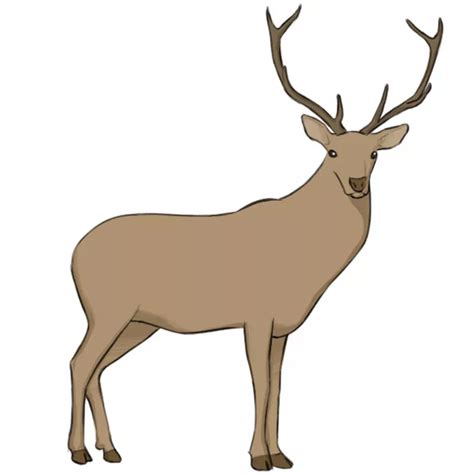 How To Draw A Deer Easy Drawing Art