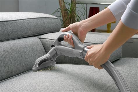 Top 7 Expert Approved Upholstery Cleaning Tips Rugs N Rats