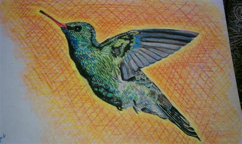 Watch the pictures or drawings of your favorite bird and start drawing roughly. The Hodge-Podge Gallery: Bird Drawings