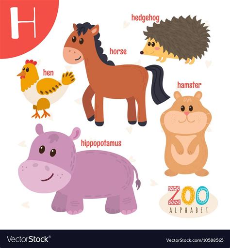 Letter H Cute Animals Funny Cartoon Animals In Vector Abc Book