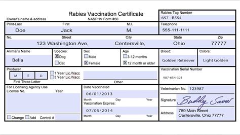 Rabies Vaccine Certificate Template
