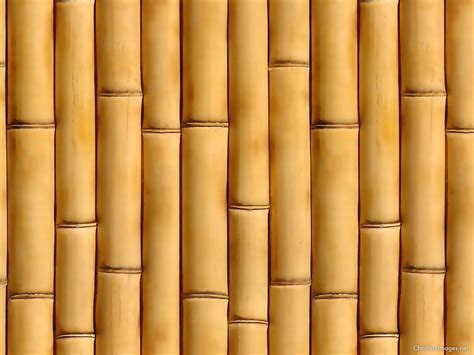 🔥 Download Classic Bamboo Background Wallpaper By Tdouglas44 Spine Backgroundpowerpoint