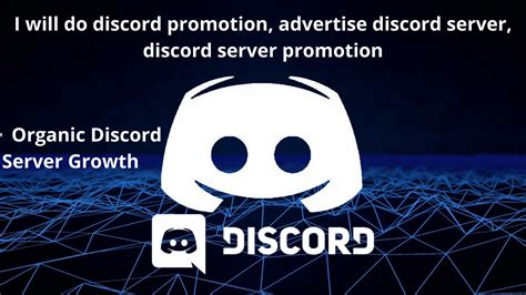 I Will Do Discord Promotion Advertise Discord Server Discord Server