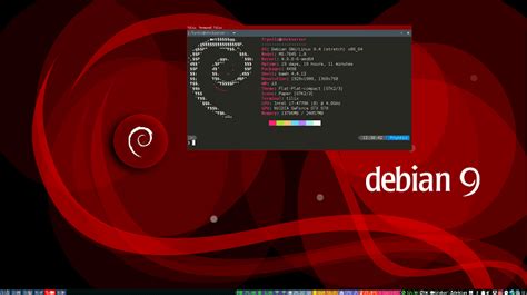 Branches And Architecture Of Debian Operating Systems Tae