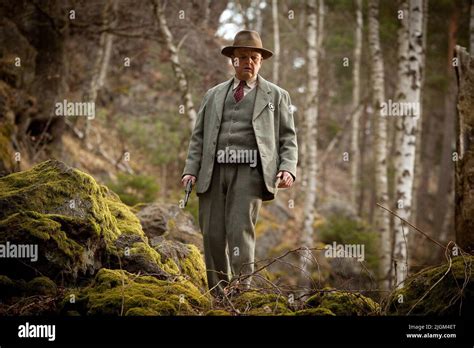 TOBY JONES, SERENA, 2014 Stock Photo - Alamy