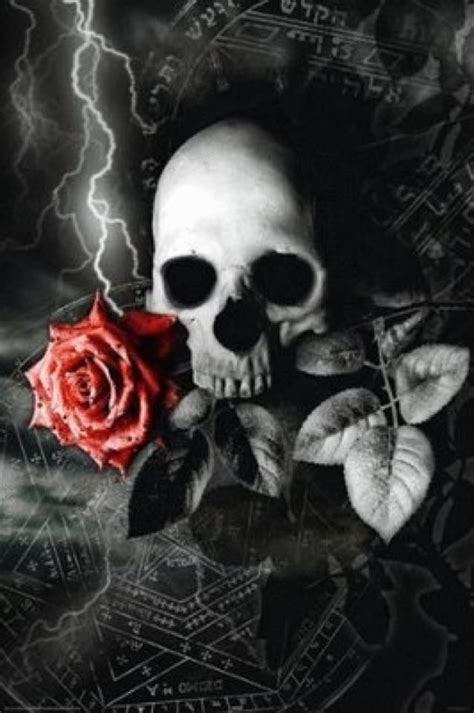 Gothic Rose Wallpaper Google Search Skulls And Roses In Skull Pictures Skull