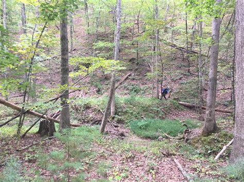 Lake Moomaw Hike