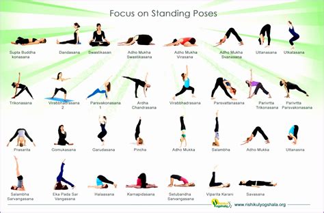 7 Basic Yoga Poses Work Out Picture Media Work Out Picture Media