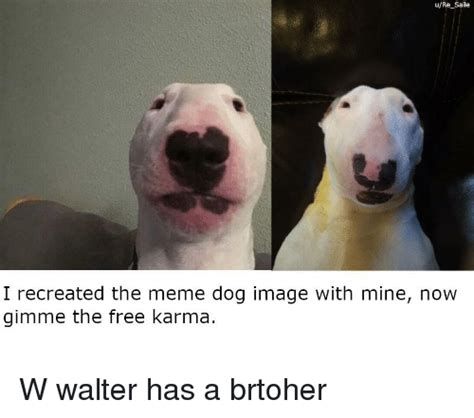 Walter Dog Meme Gun