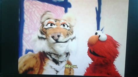 Elmos World All About Animals Intros Youtube