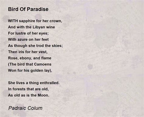 Bird Of Paradise Poem by Padraic Colum - Poem Hunter