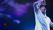 Watch Chris Brown: Welcome to My Life (2017) - Free Movies | Tubi