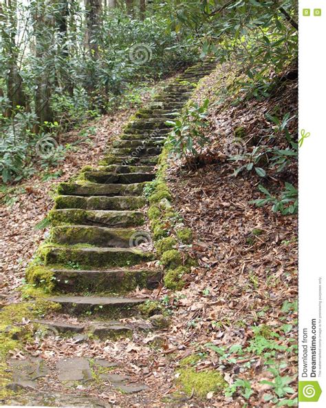 Mossy Steps Stock Image Image Of Forest Tennessee Path 70454813
