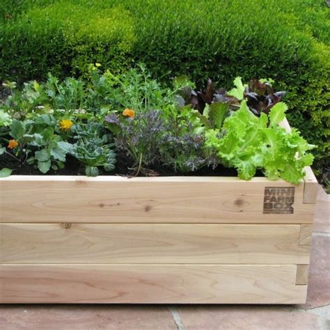 Rolling Farm Box In Designer Pots Eclectic Outdoor Pots And