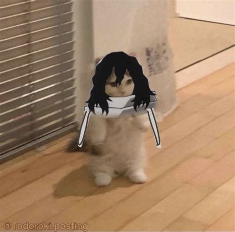 Pin By Безумный Ларри On Standing Cat Meme Anime Kitten Anime Cat