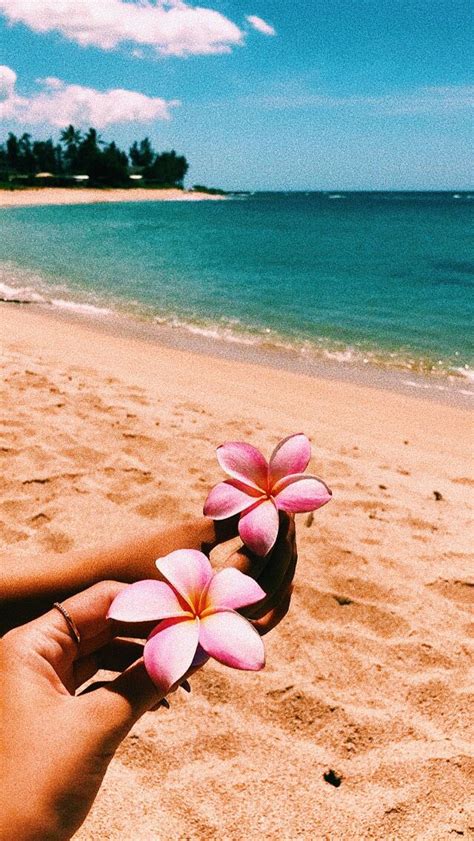 Hawaiian Flowers 🌺 🌊 Beach Wall Collage Beach Aesthetic Summer