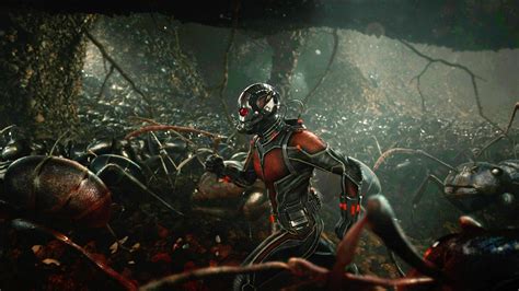 Primer Teaser Trailer De Ant Man Y La Avispa