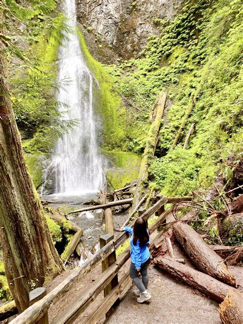 Marymere Falls Hike Olympic National Park 3 A Passion And A Passport