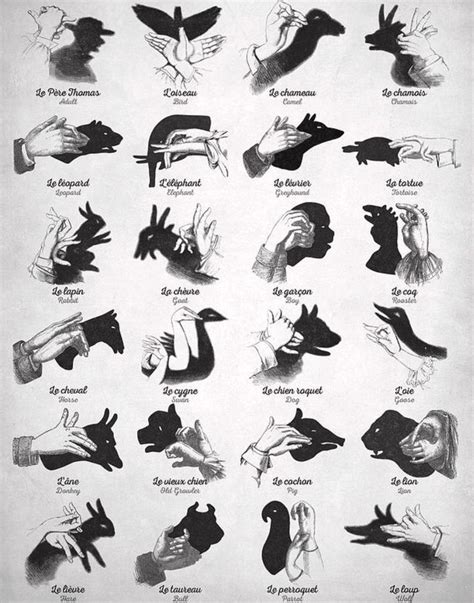 Impress Your Friends With Shadow Puppets Hand Shadows Shadow Art