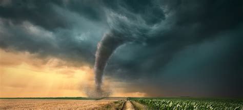 44 Extreme Tornado Facts And Trivia Factretriever