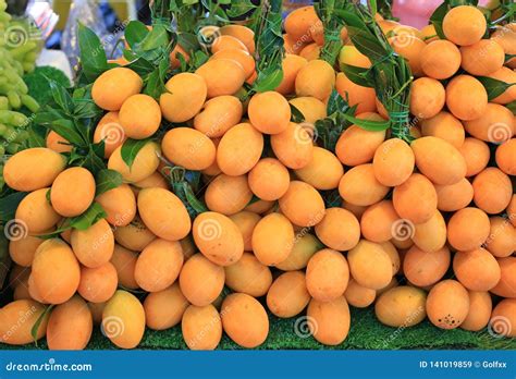 Anacardiaceae Or Plum Mango Tropical Fruit Of Thailand Stock Image
