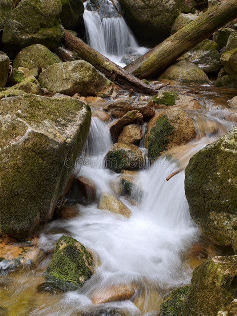 Cascade Mountain Creek Stock Image Image Of Fall Stream 86616097