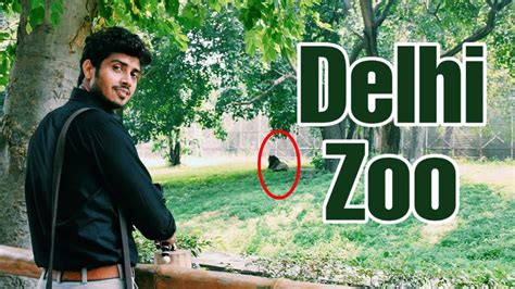 National Zoological Park Delhi Zoo दिल्ली का चिड़ियाघर Full Hd