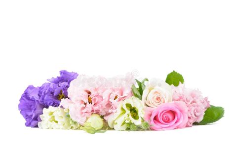 Purple And Pink Carnations And Roses Stock Photo Image Of Bunch