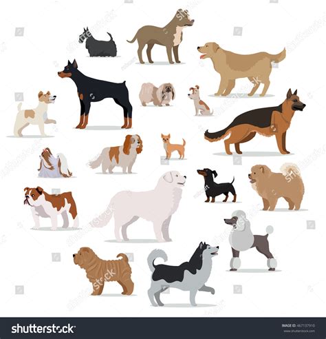 Dogs Breed Set Isolated On White Stock Vector Royalty Free 467137910