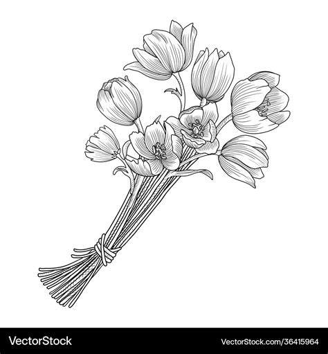 Flower Arrangement Images For Drawing Best Flower Site