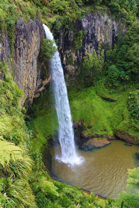 Bridal Veil Falls Waikato Stock Photo Image Of Falls 36152254