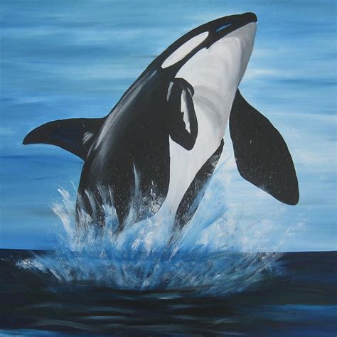Orca Painting By Cathy Jacobs Fine Art America