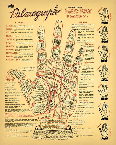 Vintage Palmistry Chart 5 Sizes Fortune Telling Cheiromancy Occult Palm