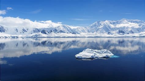 What Is The Antarctic Convergence
