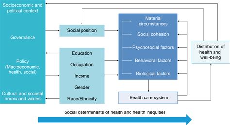 Social Determinants Of Health Pahowho Pan American Health Organization