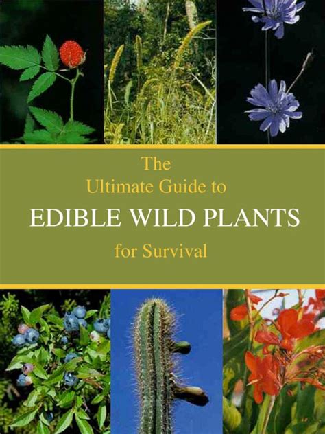 Edible Wild Plants The Ultimate Survival Guide What To Eat And