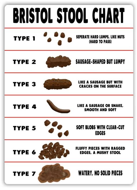 Guide To Understanding Your Poo — Los Angeles Clinical Nutritionist