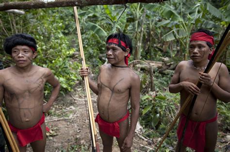 アマゾン先住民 Ngo Pra 一般社団法人 自然共生社会再生機構