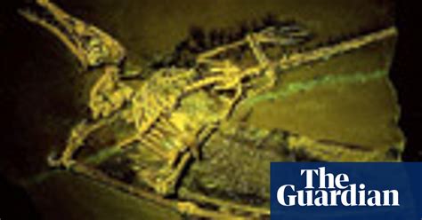Could Pterosaurs Really Fly Dinosaurs The Guardian