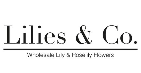 Wholesale Lilies And Roselily Flowers Lilies Co